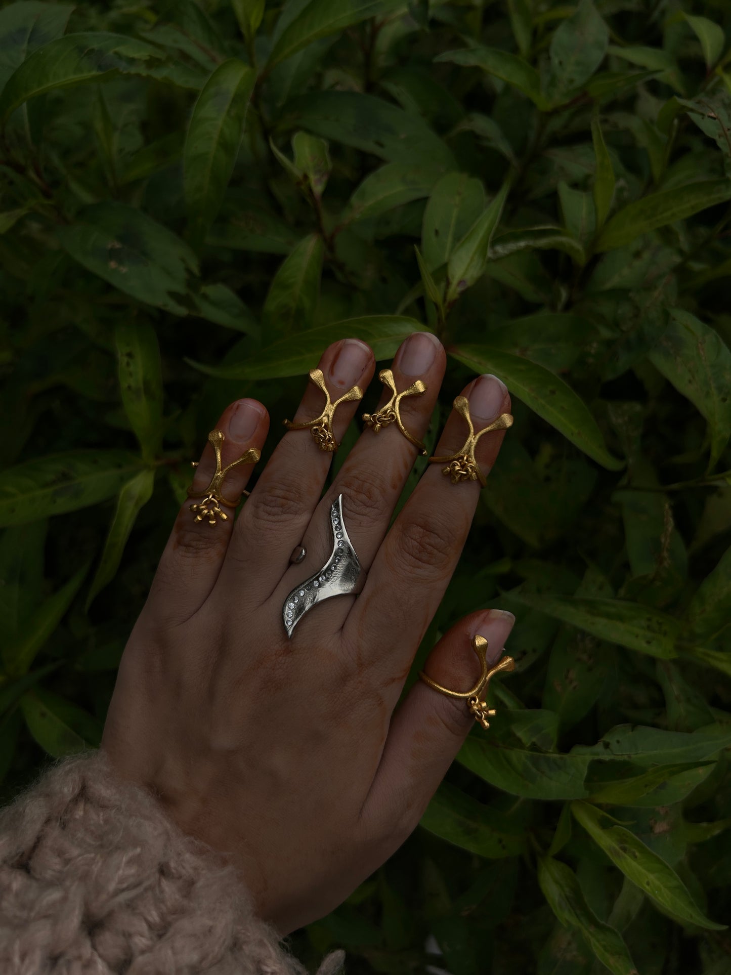 Sire ring