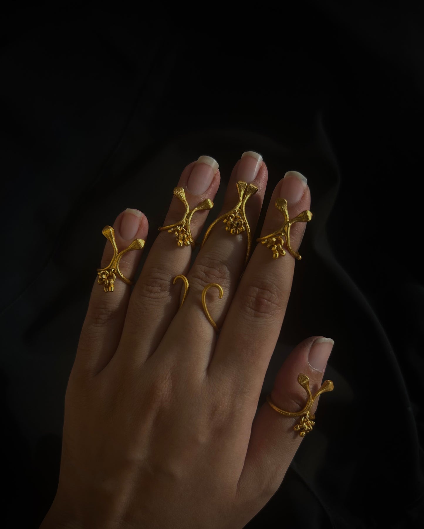 Darvi rings