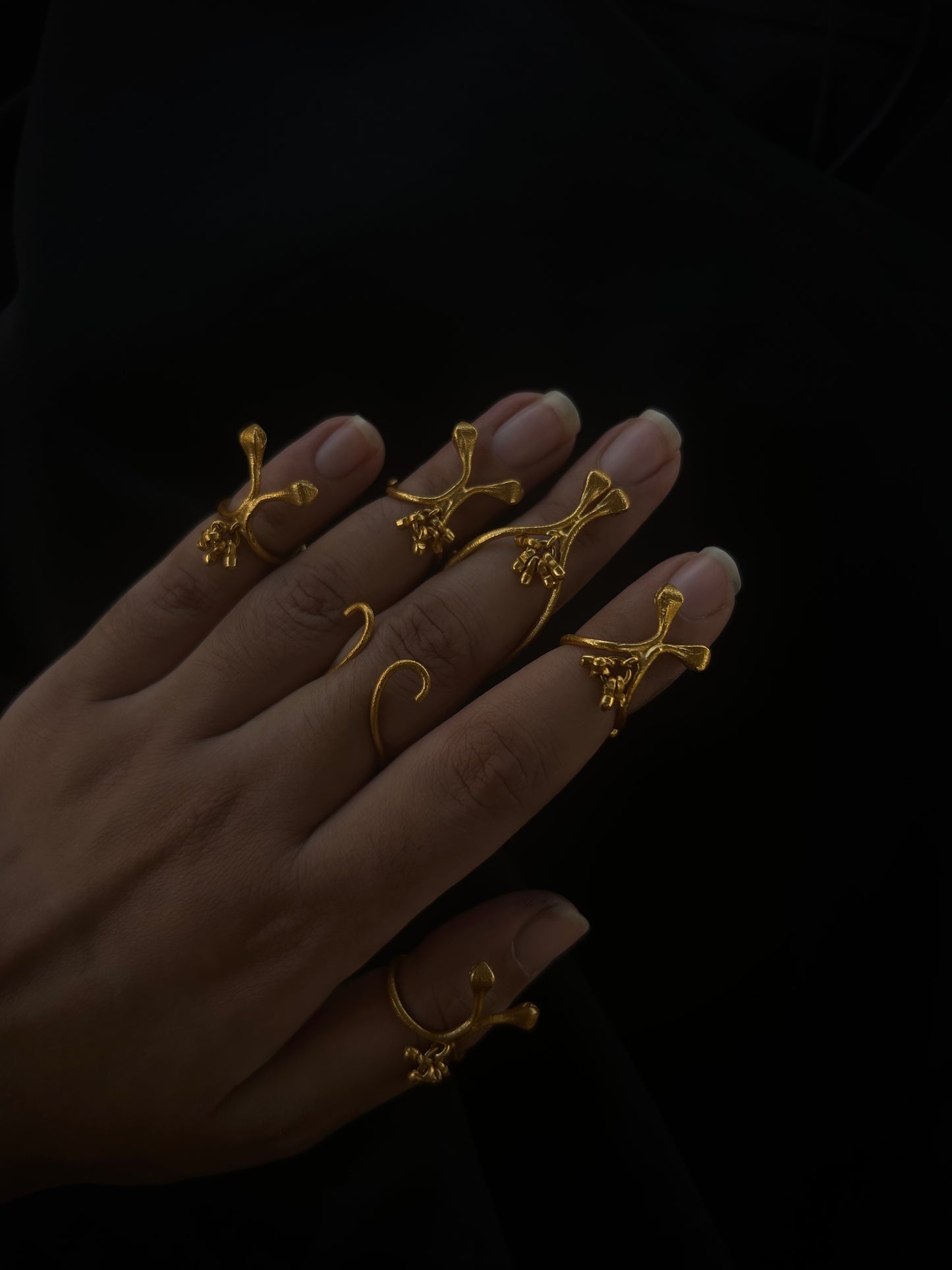 Darvi rings