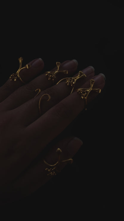 Darvi rings