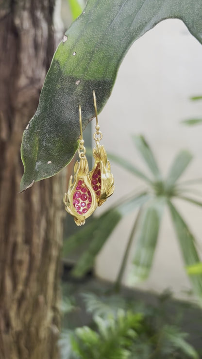 DRAGON FRUIT